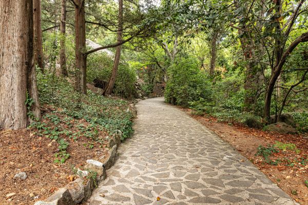 Stone Walkway Repair in Auburn