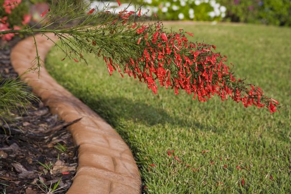 Brick Edging in Auburn