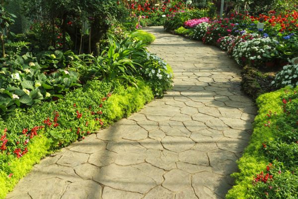 Stone Pathway Repair in Auburn