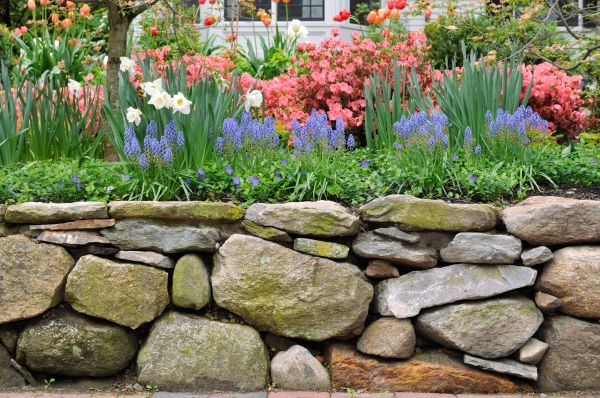 Stone Wall Hardscaping in Auburn