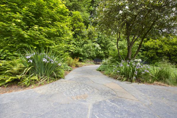 Stone Hardscape Service in Auburn